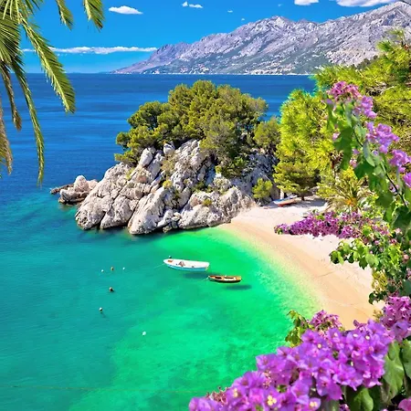 Apartment Gem Omis
